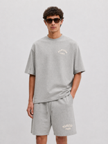 Paris College T-Shirt Hellgrau